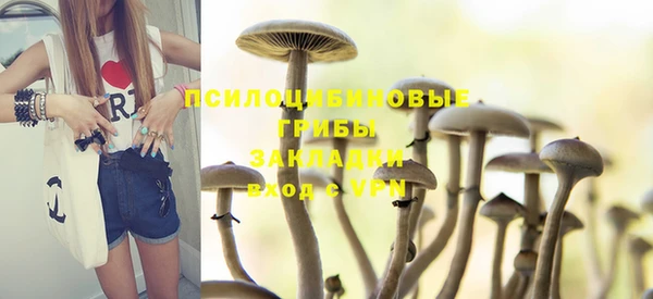 СК Беломорск